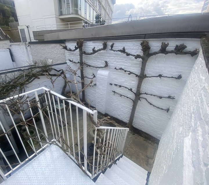 Painted white garden walls, railings and metal staircase