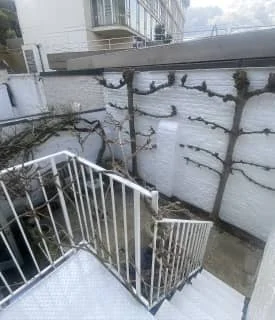 Garden wall after professional painting with clean finish